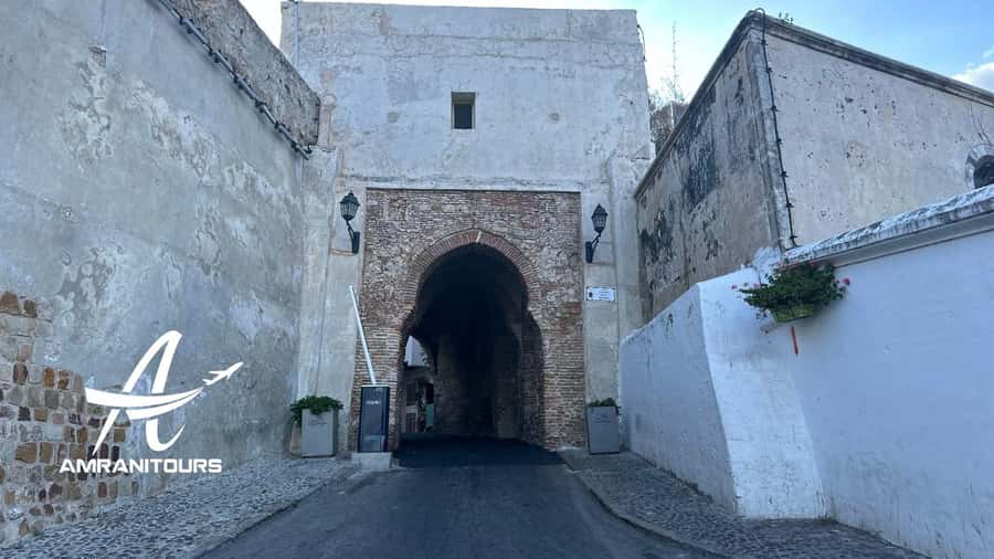 Day trip from Seville to Tangier all inclusive - Tomb of Ibn Batutta and Tombeaux Phéniciens, short stops with big meaning