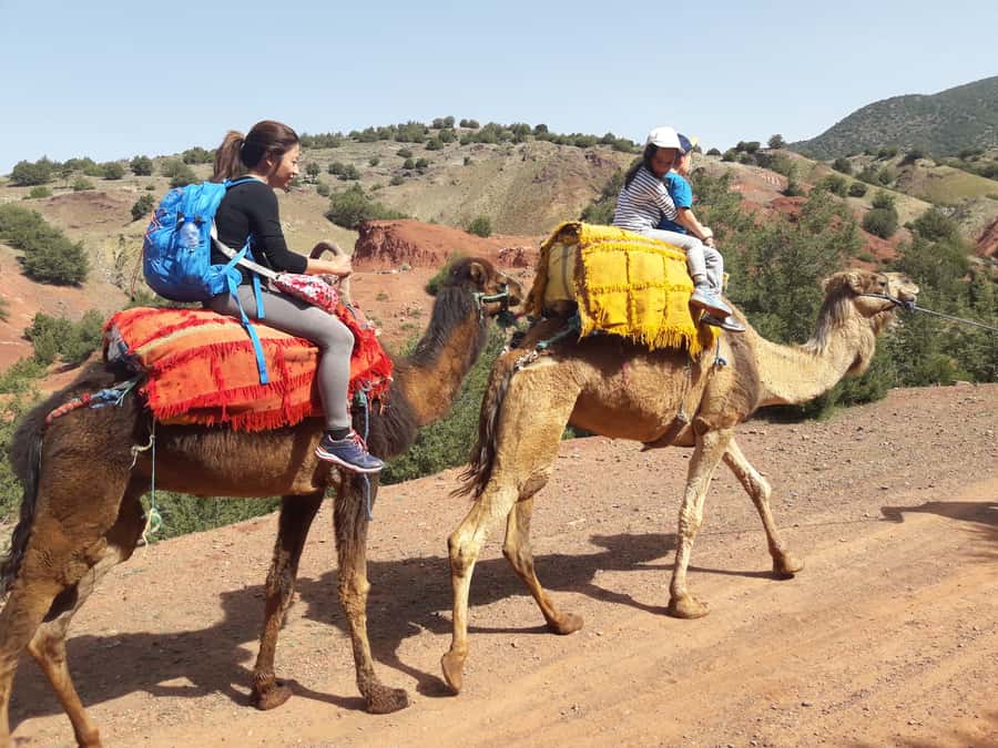 Day Trip To Atlas Mountain and Berber Village From Marrakech - Imlil at 1,740 meters: where the hike really starts