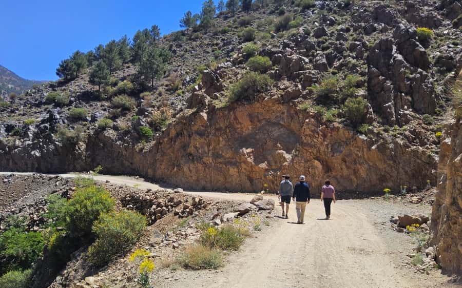 Day Trip To Atlas Mountain and Berber Village From Marrakech - The Berber ecolodge lunch, done right