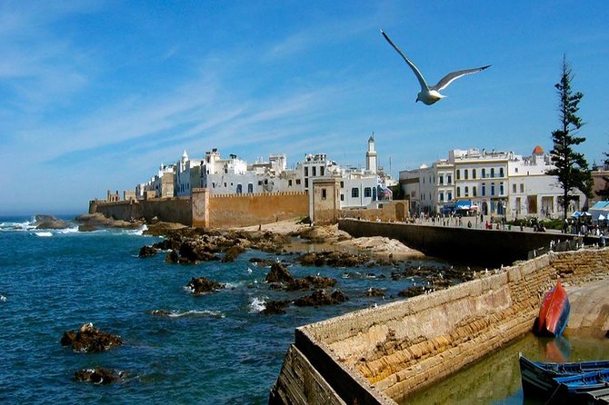 Day trip to Essaouira - Argan oil village: where the product comes from