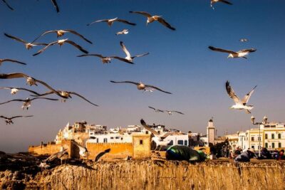 DAY TRIP TO ESSAOUIRA FROM MARRAKECH