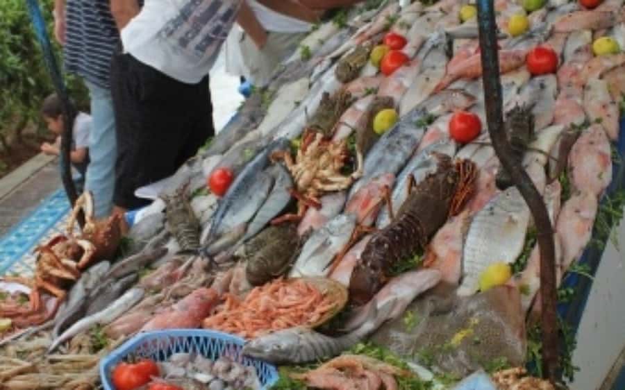 DAY TRIP TO ESSAOUIRA FROM MARRAKECH - Group tour logistics: where satisfaction usually comes from