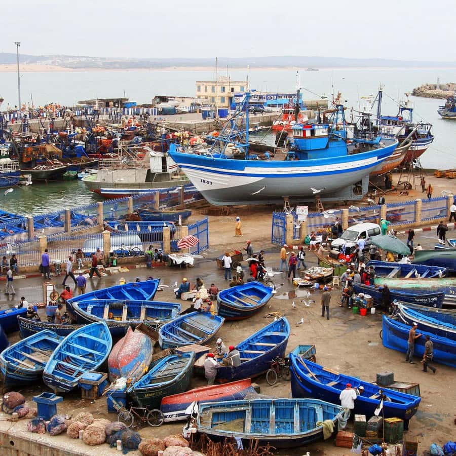 Day Trip To Essaouira From Marrakech With Guide - Key highlights you should care about