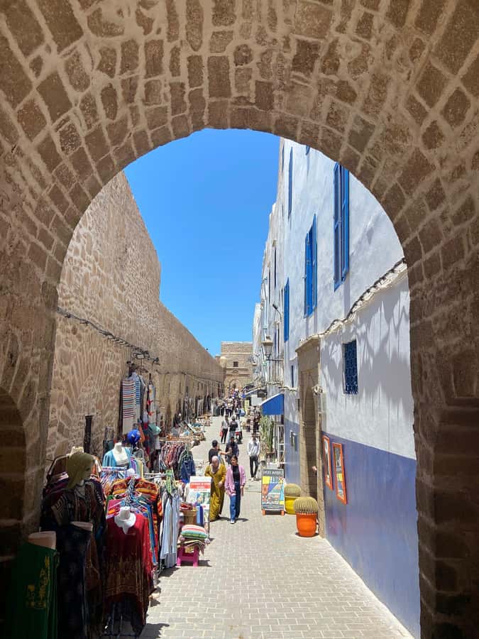 Day Trip To Essaouira From Marrakech With Guide - Fishing Port and Mellah: Two Sides of Daily Life
