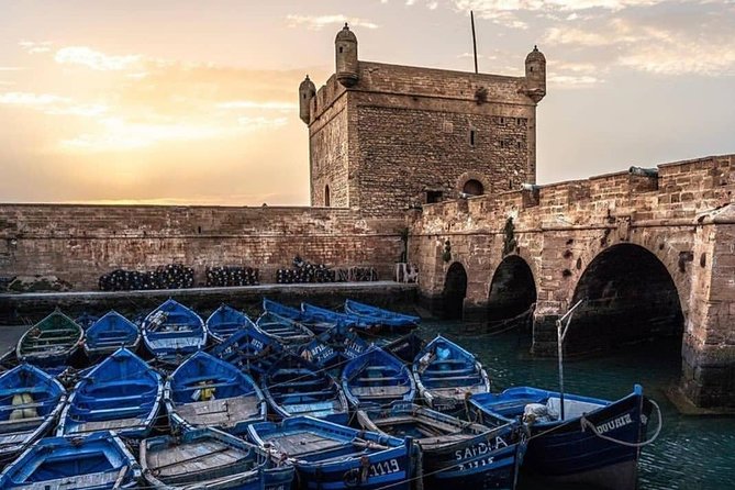 Day trip to Essaouira the portuguese town from Agadir or Taghazout - Key things that make this day trip work