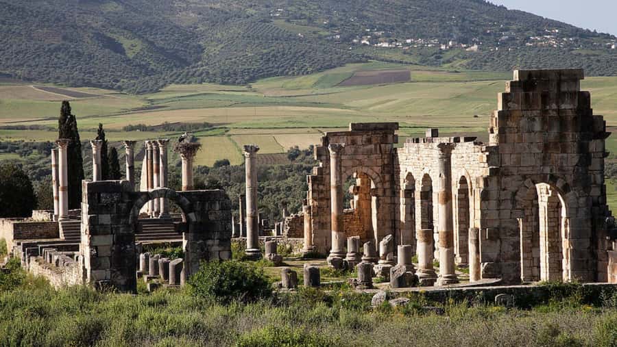 Day trip to meknes ,volubilis , moulay idris - Driver And Host Quality: Why It Matters More Than You Think