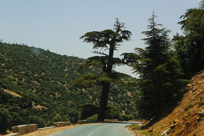 Day Trip to Middle Atlas Mountain and Berber Villages from Fes - Key highlights worth your attention