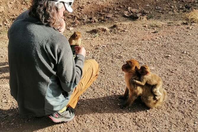 Day Trip to Middle Atlas Mountain and Berber Villages from Fes - Berber villages and Immouzer Kandar’s cave moment