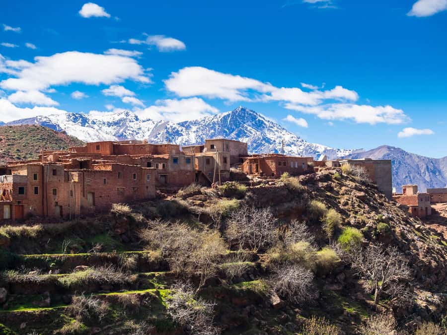 Day Trip to Ourika Valley & Atlas Mountains with Lunch - The Setti Fadma waterfall walk: the main physical payoff