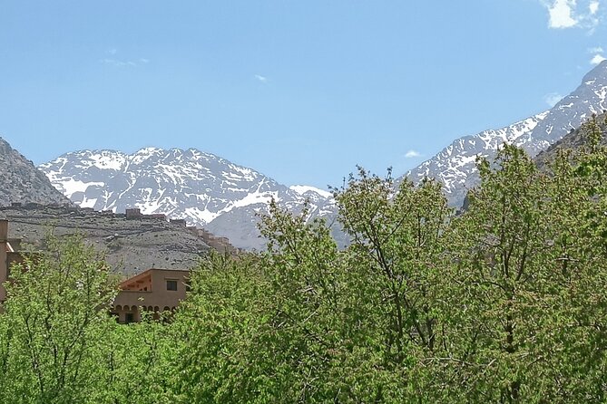 Day Trip to Ourika Valley from Marrakech - A 6-hour Ourika Valley day, paced like a real day trip
