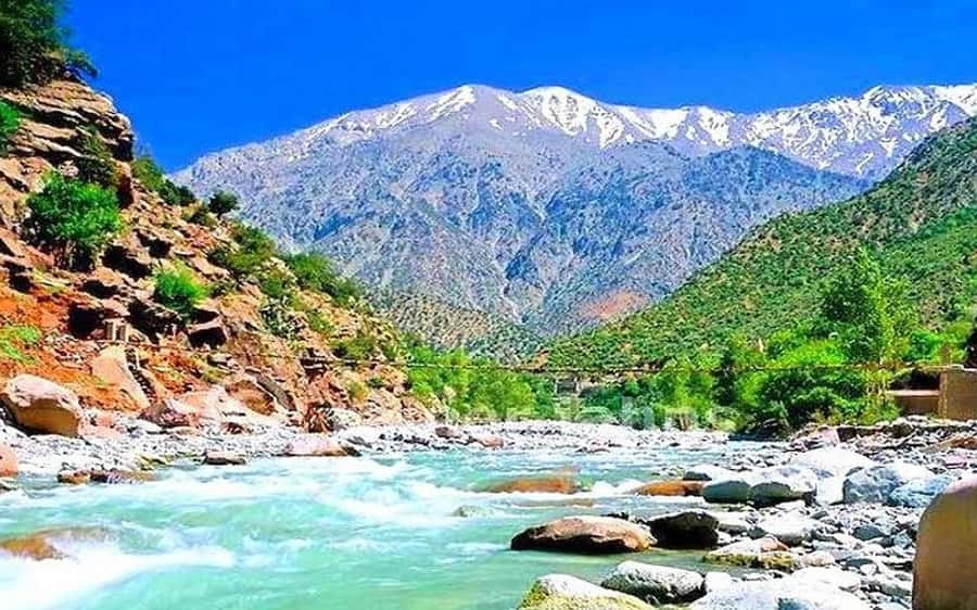 Day trip to Ourika valley lunch + guid + activité included - Key highlights that make this day trip worth it