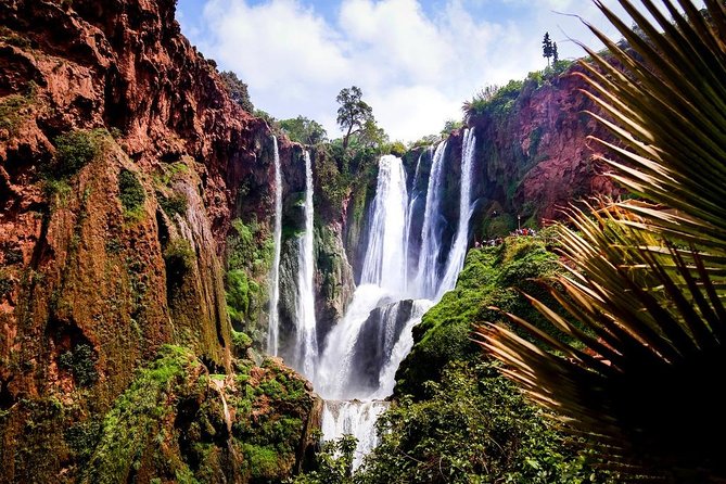 Day trip to Ouzoud Waterfalls from Marrakech - Time on the falls: photos, monkeys, and swimming in real life
