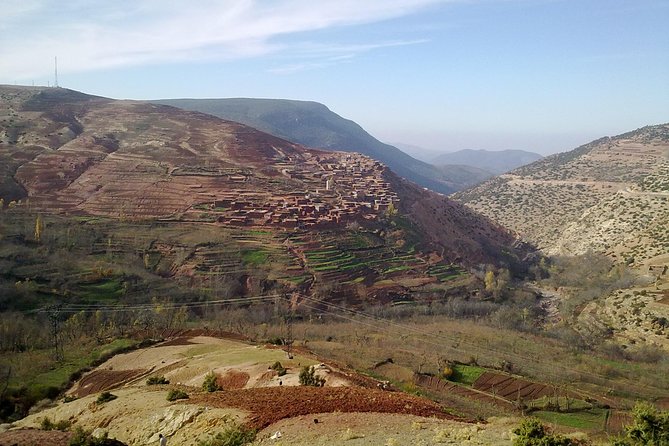 Day Trip to Ouzoud WaterFalls from Marrakech: Shared - Walking the Falls Trails: Steps, Pacing, and Monkey Encounters