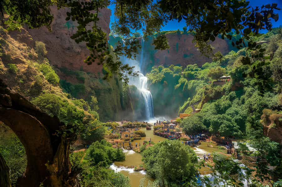 Day Trip To Ouzoud Waterfalls (Guide Hik & Boat option) - Monkeys at Ouzoud, feeding and photo etiquette that keeps it fun