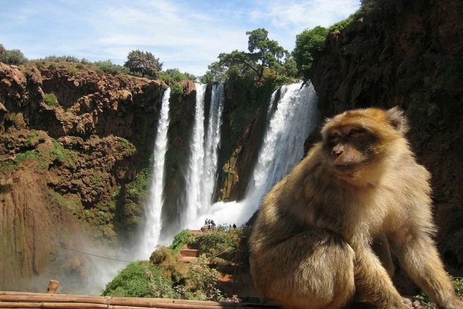 Day Trip To Ouzoud Waterfalls (Guide Hike & Boat are options) - Local Guide vs. Self-Explore: Paying 3€ Per Person Wisely