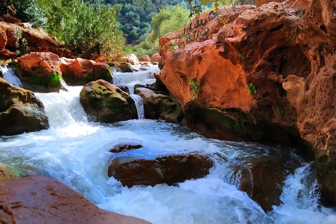 Day Trip to Ouzoud Waterfalls with Guide and Boat Trip - Arriving at the Cascades d’Ouzoud around 11:00 a.m.