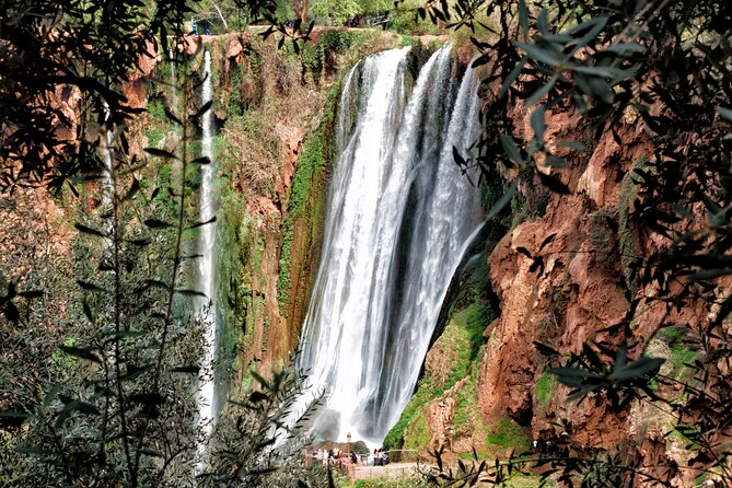 Day Trip to Ouzoud Waterfalls with Guide and Boat Trip - The return to Marrakech before dinner