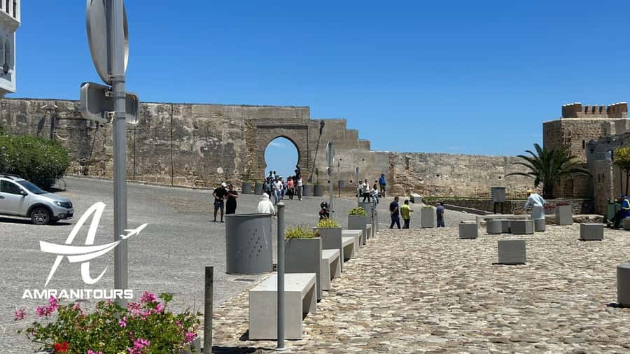 Day trip to Tangier from Tarifa all inclusive - Achakkar Beach camel ride: fun, optional, and close to the action