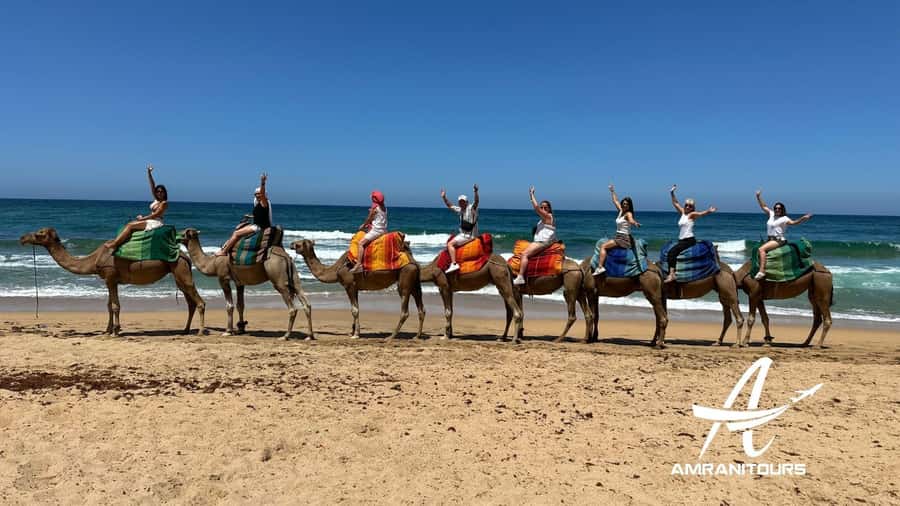 Day trip to Tangier from Tarifa all inclusive - Markets, the Medina, and lunch: where you control your pace