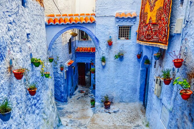 Day Trip Transport from Fes to Chefchaouen (The Blue City) - Cost and value: what you’re really paying for at $34.88