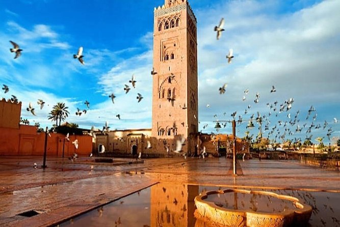 Day Trips from Agadir to Marrakech with Amazing guide - A Day Trip From Agadir to Marrakech That Keeps the Day Efficient