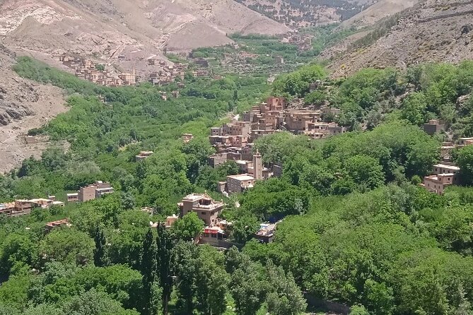 De Marrakech: Visite des montagnes de l'Atlas avec un guide - Azrou and the Women’s Argan Oil Cooperative Stop
