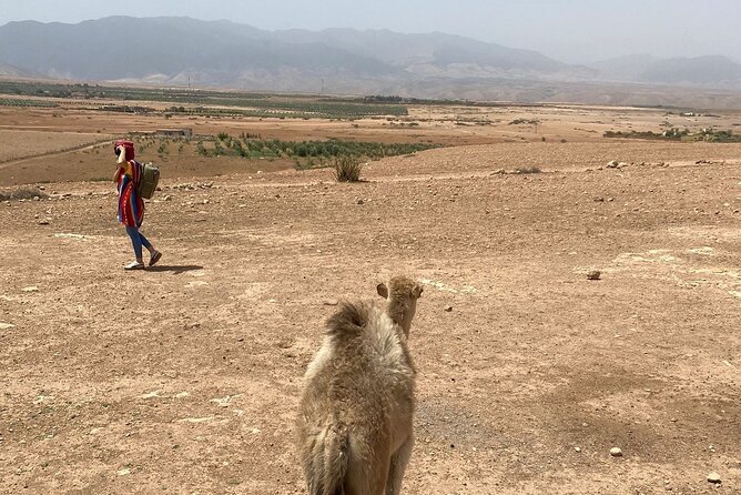 Desert Agafay and Atlas Mountains Day Tour & Camel ride From Marrakech - Women’s Argan Oil Cooperative: What You’re Actually Supporting