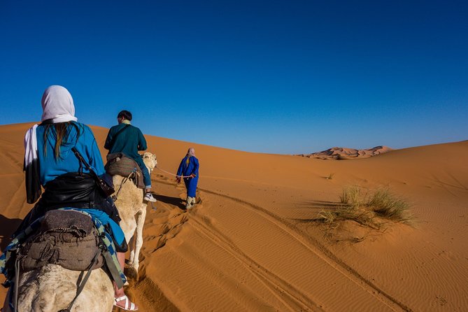Desert Agafay & Atlas Mountains, Valleys & Waterfalls Tour from Marrakech - Tea with a Berber family: the cultural moment that makes it feel real
