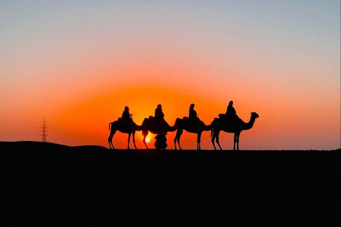 Desert Agafay & Atlas Mountains, Valleys & Waterfalls Tour from Marrakech - Camel ride in the Atlas valleys: short but memorable