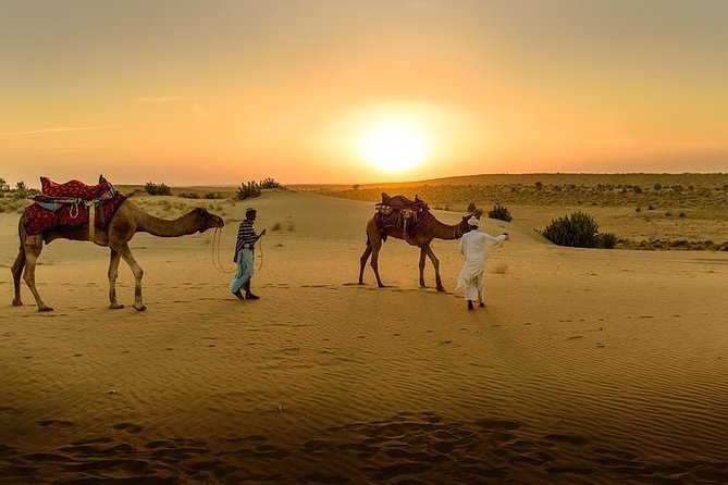 Desert Agafay & Atlas Mountains, Valleys & Waterfalls Tour from Marrakech - Argan women’s cooperative: where the tour becomes hands-on