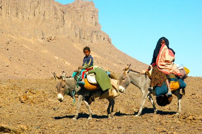Desert Agafay & Atlas Mountains, Valleys & Waterfalls Tour from Marrakech - The waterfall hike at Imlil: how hard, and what to bring