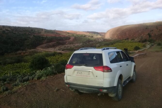 Desert and Ocean Private Day Tour - Why this tour works: desert edge plus ocean views