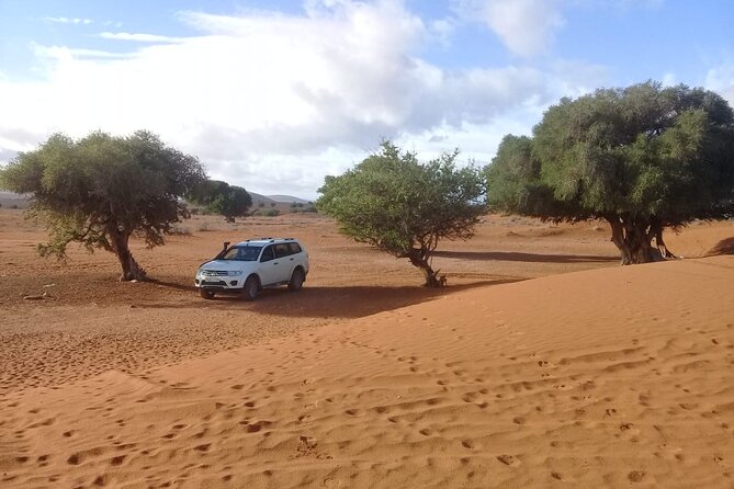 Desert and Ocean Private Day Tour - Stop 2: Tifnit village walk and sand dunes