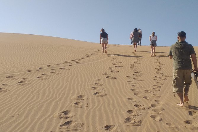 Desert and Wild Beach Day Trip with Meal - Key highlights you will feel the most
