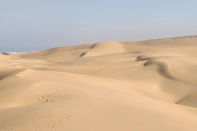 Desert and Wild Beach Day Trip with Meal - Anti-Atlas mornings and getting off the standard route