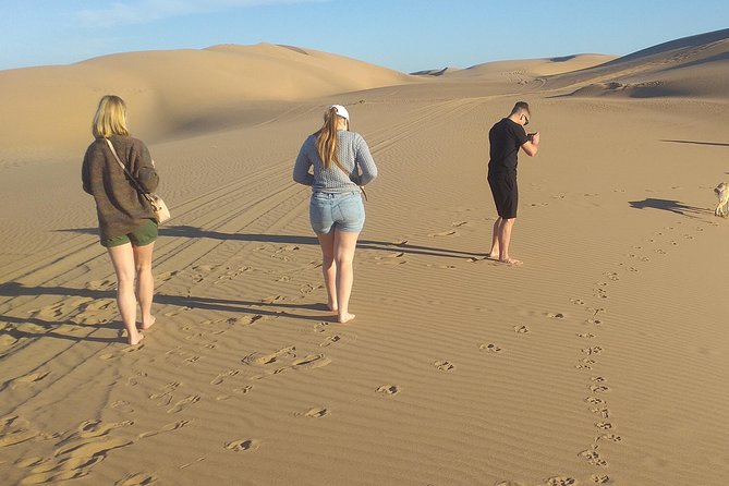 Desert and Wild Beach Day Trip with Meal - Youssef Dam panoramas and well Tachfin, then the small desert