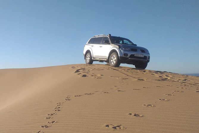 Desert and Wild Beach Day Trip with Meal - Price, value, and what you still need to pay for