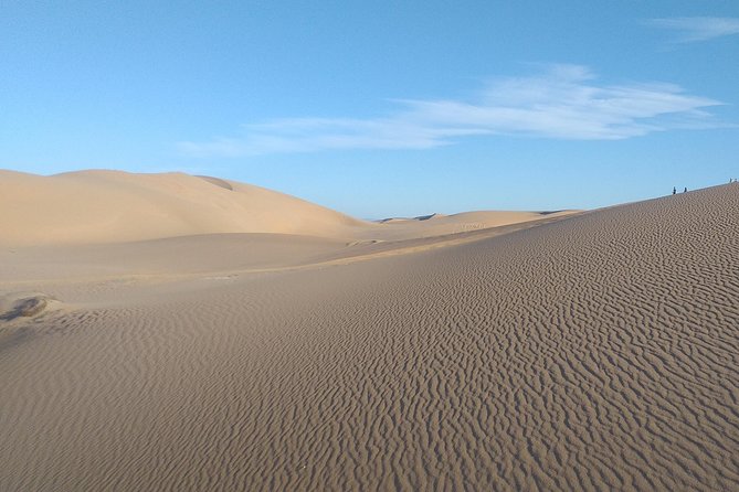 Desert and Wild Beach Day Trip with Meal - Pickup, time in the van, and how to plan your day