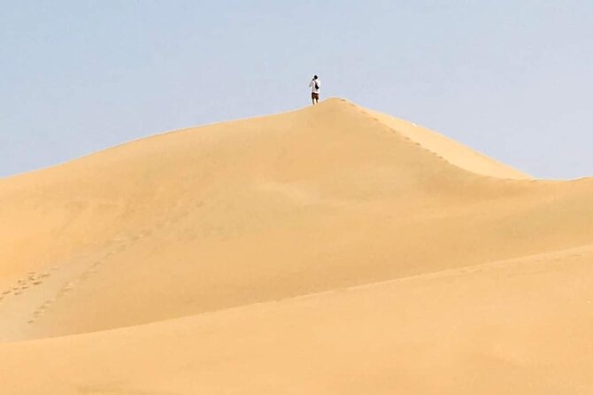 Desert and Wild Beach Day Trip with Meal - Guides make a difference: Hassan, Nordine, Momo, Abdou