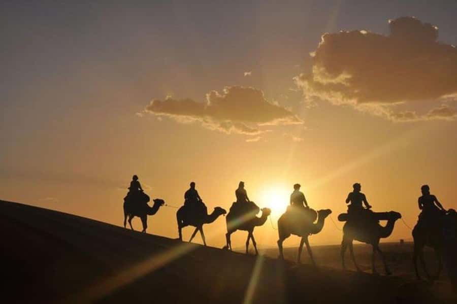 Desert & Beach Quad Adventure With Camel Ride - Quad meets camel near Agadir, with Takate dunes and Tifnit Dunas