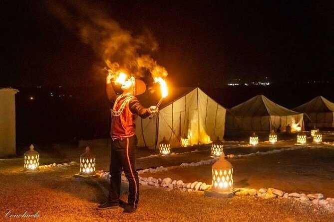 Desert D'Agafay Package - Quad, Dromedary and Dinner Show - Key points to know before you go