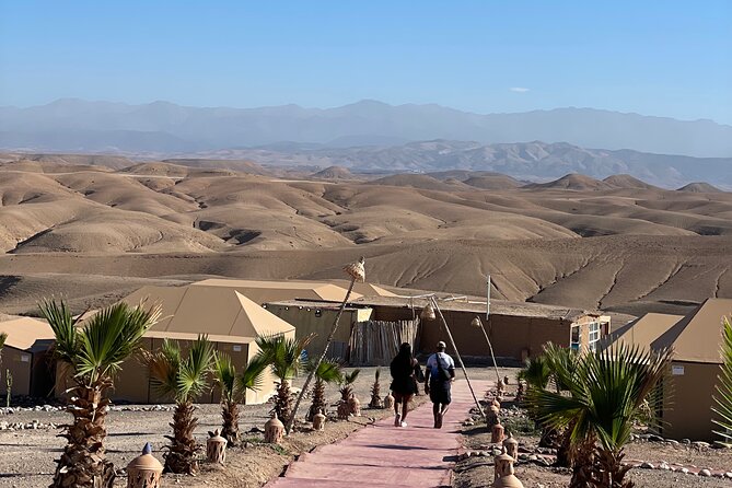 Desert Full Day: Quad, Camel, Dinner & Show or Pool Day and Lunch - The pool day: why it is more than a break