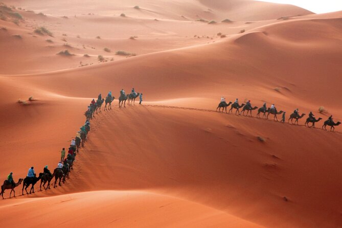 Desert Trip:Fès-Merzouga(1 Night)-Ouarzazat(1 Night)-Marrakech - Why this Fes to Marrakech desert route works as a 3-day circuit