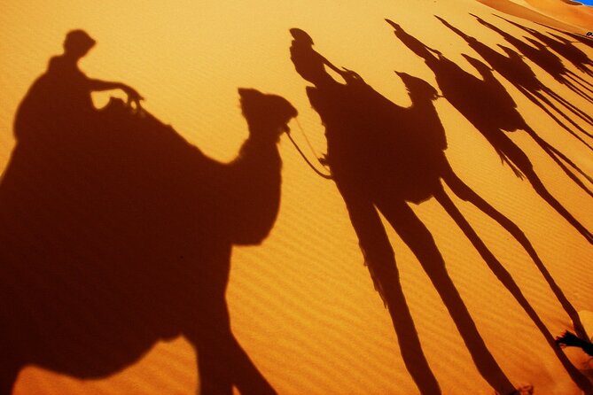 Desert Trip:Fès-Merzouga(1 Night)-Ouarzazat(1 Night)-Marrakech - Todgha Gorge and El Kelaa M’gouna, the day-two culture pause