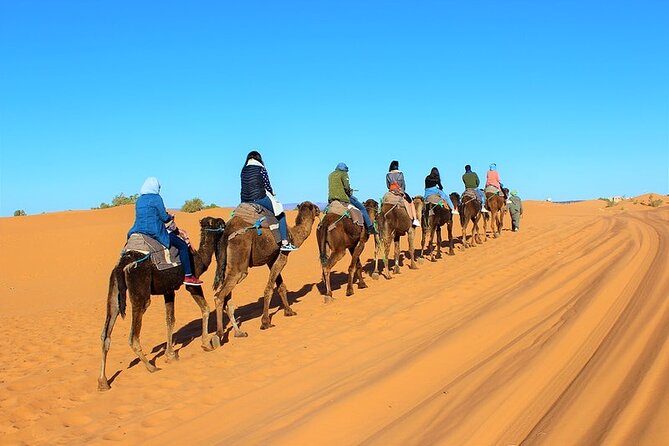 Desert Trip:Fès-Merzouga(1 Night)-Ouarzazat(1 Night)-Marrakech - Price and value: what the $260.58 covers (and what it does not)
