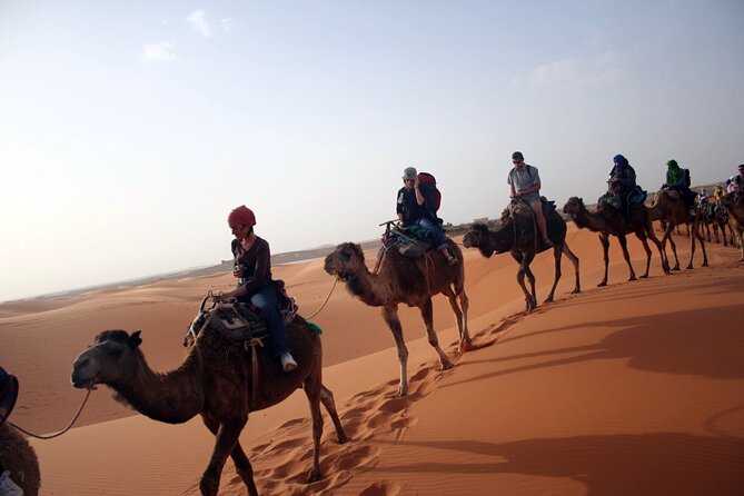 Desert Trip:Fès-Merzouga(1 Night)-Ouarzazat(1 Night)-Marrakech - Small group, guides, and the attention you feel