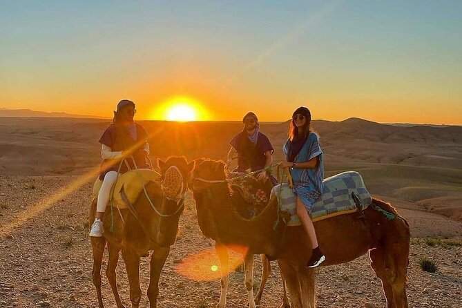 Dinner experience & Sunset with camel ride Tour - The camel ride segment, and how it really works