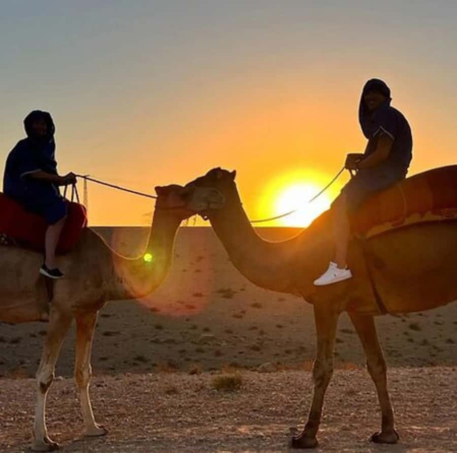 DINNER IN AGAFAY DESERT UNDER THE STARS WITH SHOW AND CAMELS - Marrakech pickup to Agafay: a smooth start matters