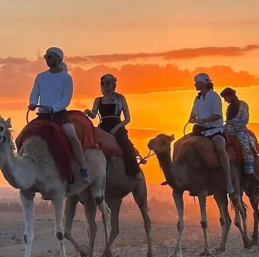 DINNER IN AGAFAY DESERT UNDER THE STARS WITH SHOW AND CAMELS - Who should book this tour, and who might want something else