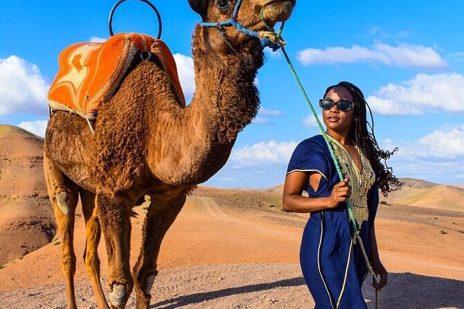 Dinner Show & camel ride with sunset views - The Moroccan menu you can expect: harira, salad, chicken tagine, tea